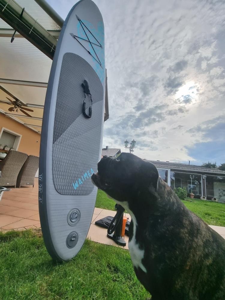 Stand-Up-Paddle mit Hund - Gewinner Borst Fliesen